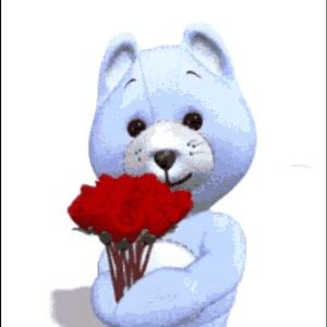 Meet your Posher, Elsa